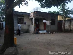 Grande parcelle dotée des plusieurs maisons