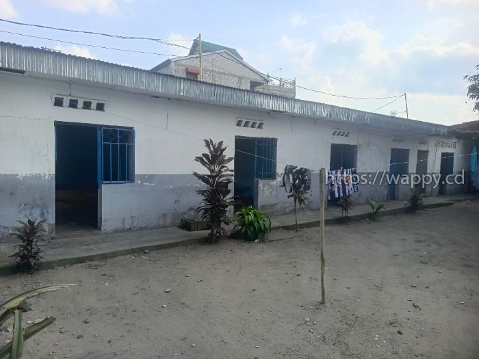 Parcelle à N'djili Q1