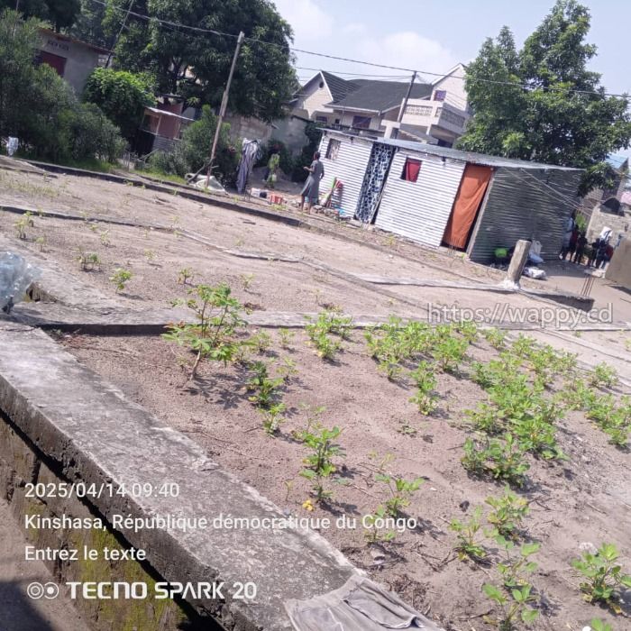 Parcelle avec une fondation de maison à Etage