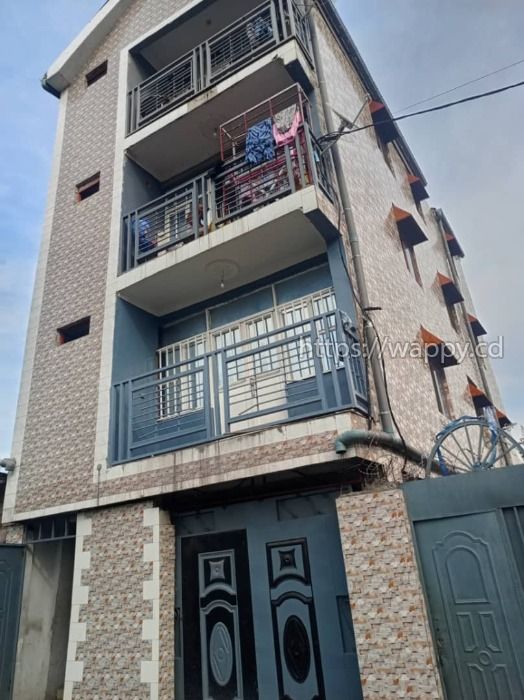 Immeuble en vente à Barumbu bien située