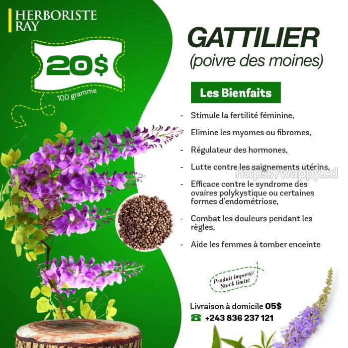 Tisane de Gattilier