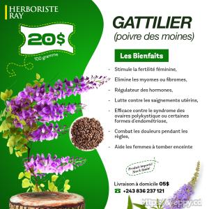 Tisane de Gattilier