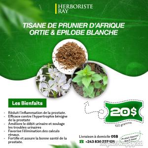 Tisane contre la Prostate
