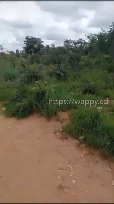 Terrains sur route Likasi