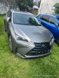 Lexus NX300h