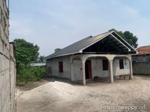 Une grande parcelle mise avec maison à BIBWA