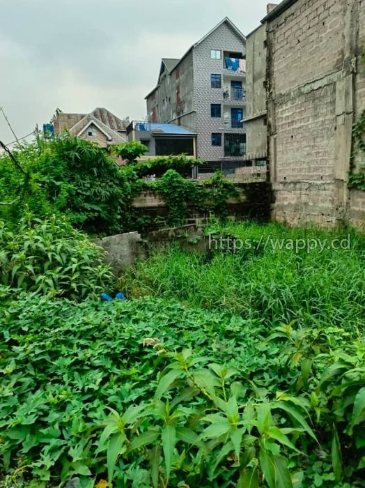Terrain vide situé à Limete 2ème rue résidentiel