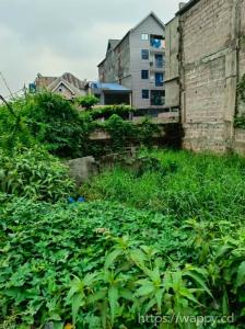 Terrain vide situé à Limete 2ème rue résidentiel