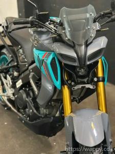 YAMAHA MT-015