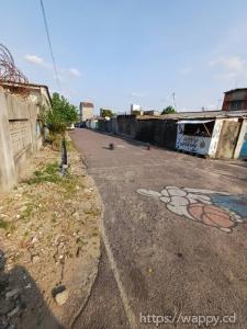Morcellement d'une parcelle à Lemba Salongo centre