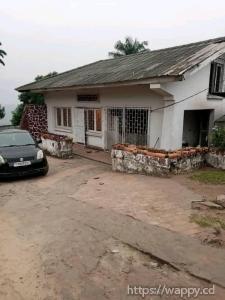 PARCELLE AVEC GRANDE MAISON BASSE À NGALIEMA Q/UPN