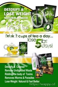 Iaso Tea, votre partenaire minceur