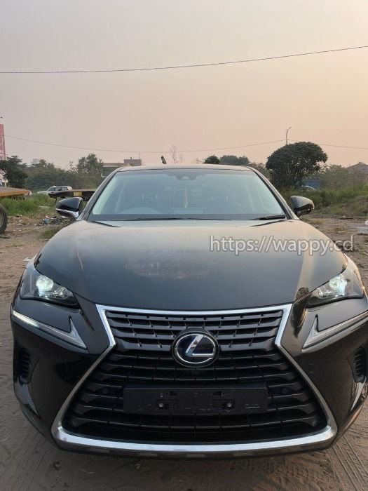 Lexus NX300h 2020