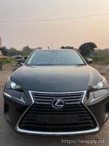 Lexus NX300h 2020