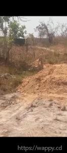 2 Terrains sur Kinsevere