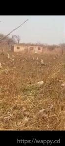 2 terrains sur kinsevere