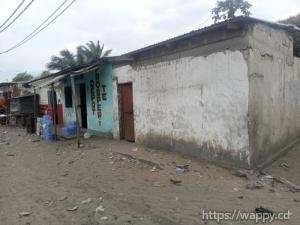Parcelle à vendre type locatifs à Nsele/terre jaun