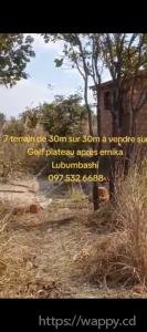 4 terrains après Ernika
