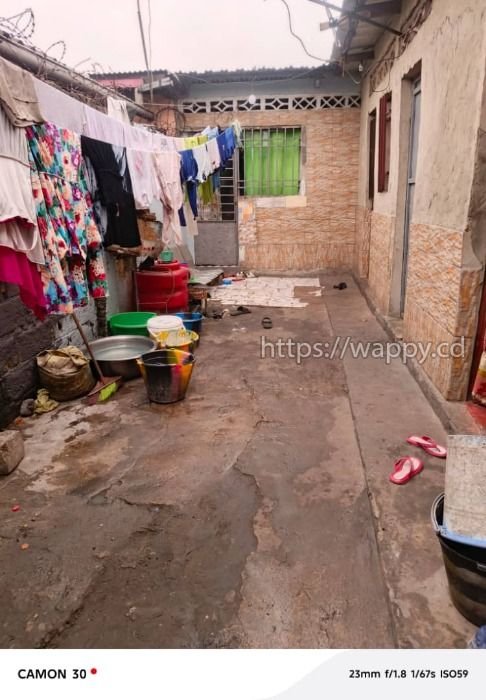 Parcelle à Kikwit Elengesa – maison type locatif