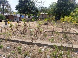 Terrain avec fondation – N’sele Camp PM