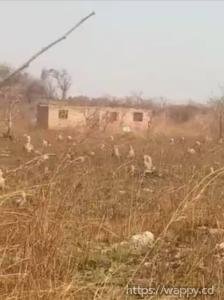 2 Terrains sur route Kinsevere