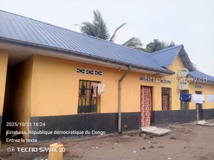 Parcelle locative avec 3 maisons à N’sele