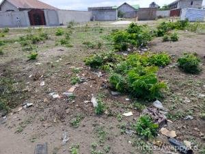 Terrains au Quartier Félix Tshisekedi, N’sele