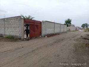 Parcelle clôturée avec deux hangars à N’sele