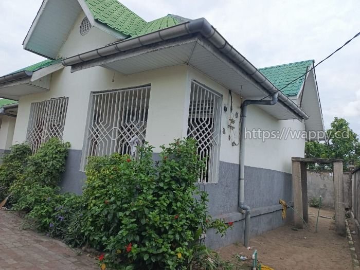 Parcelle + maison - Quartier efobank, N'sele