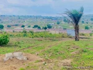 TERRAINS À N’SELE BAMBOU, QUARTIER BOLINGO