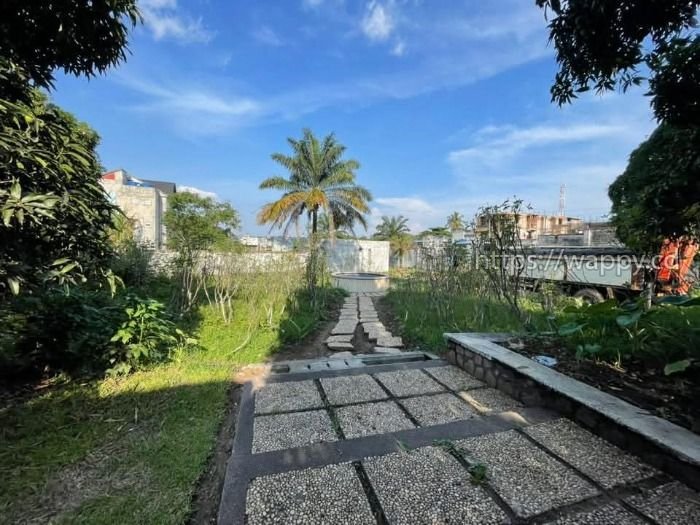 Terrain à UPN dans la commune de Ngaliema