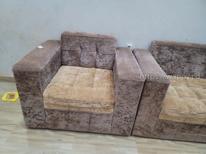 Chaises de Salon (Fauteuils)