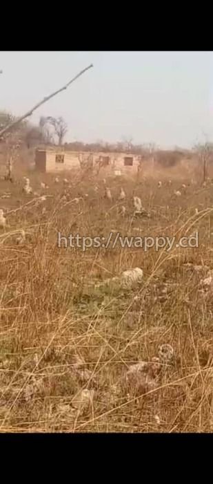 2 Terrains sur route Kinsevere