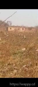 2 Terrains sur route Kinsevere