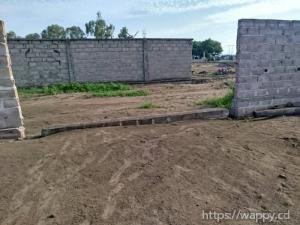 PARCELLE – RÉF. FIFA, BOULEVARD LUMUMBA