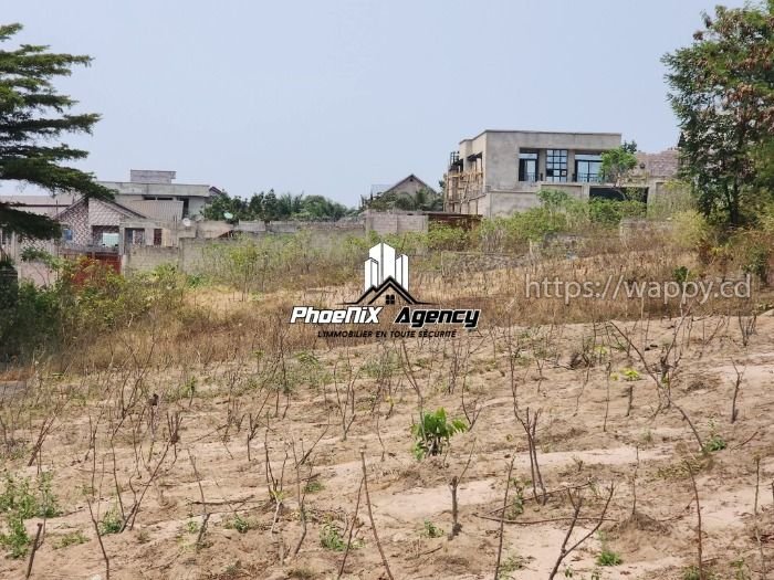 Plusieurs Terrains à Ngaliema