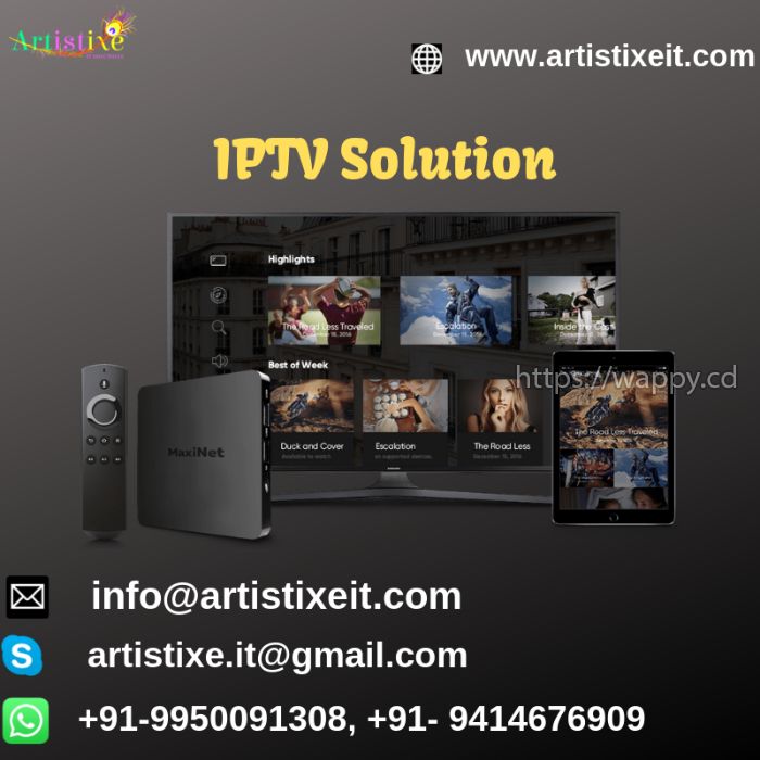 IPTV Development Services