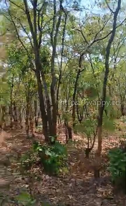 Parcelles et concessions sur route Likasi