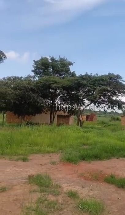 6 terrain vers Golf Poleni