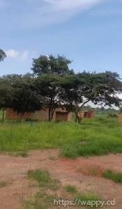 6 terrain vers Golf Poleni