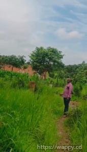 4 terrains - Golf Poleni