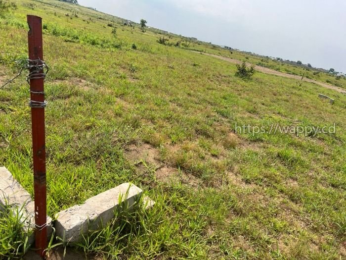 Terrain à vendre – N’Sele, Quartier Plaza