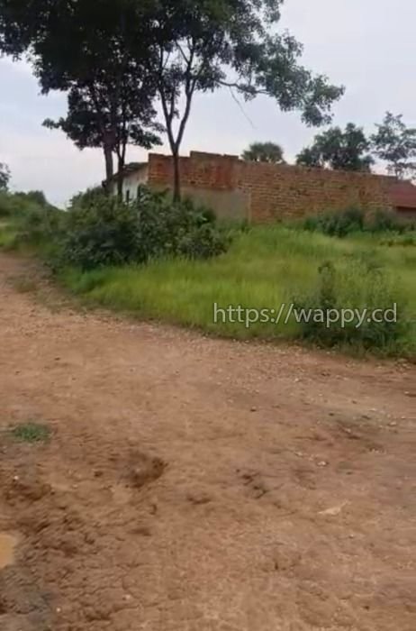 5 terrains à Golf Poleni