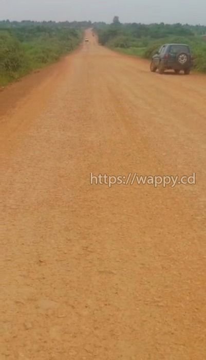 4 terrains sur Munana