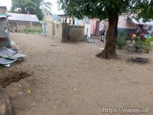 Terrain à N’Sele – Quartier Terre Jaune