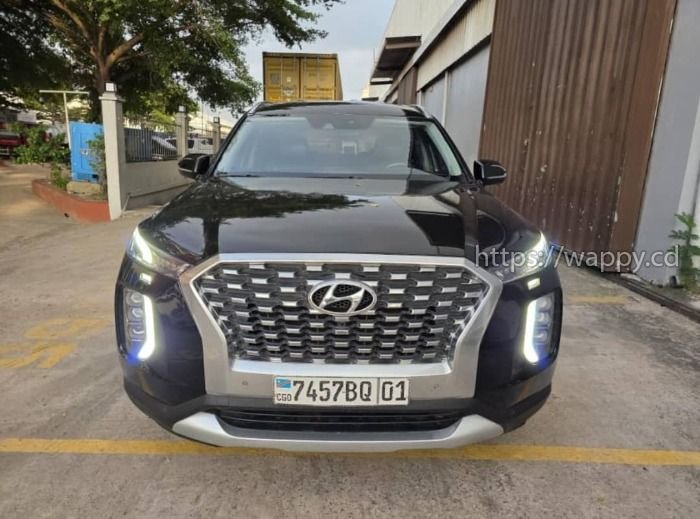 Vente Hyundai palissade