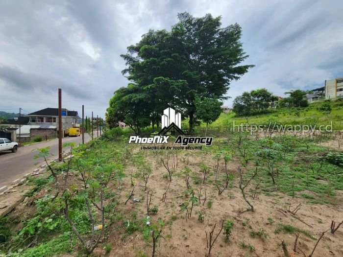 Morcellement d'un terrain à Ngaliema