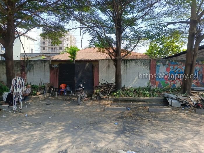 Parcelle 484m² à vendre à Bon marché libanais - Ba