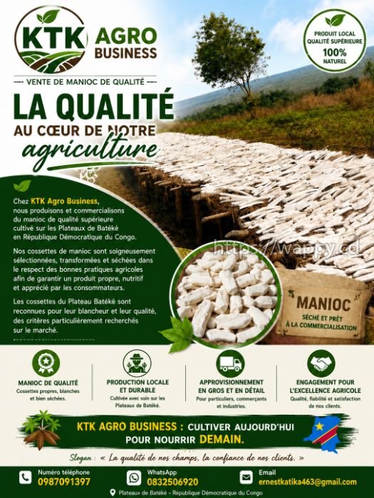 Manioc blanc Cossette