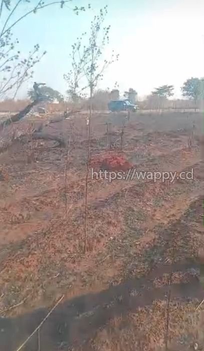 1 hectares